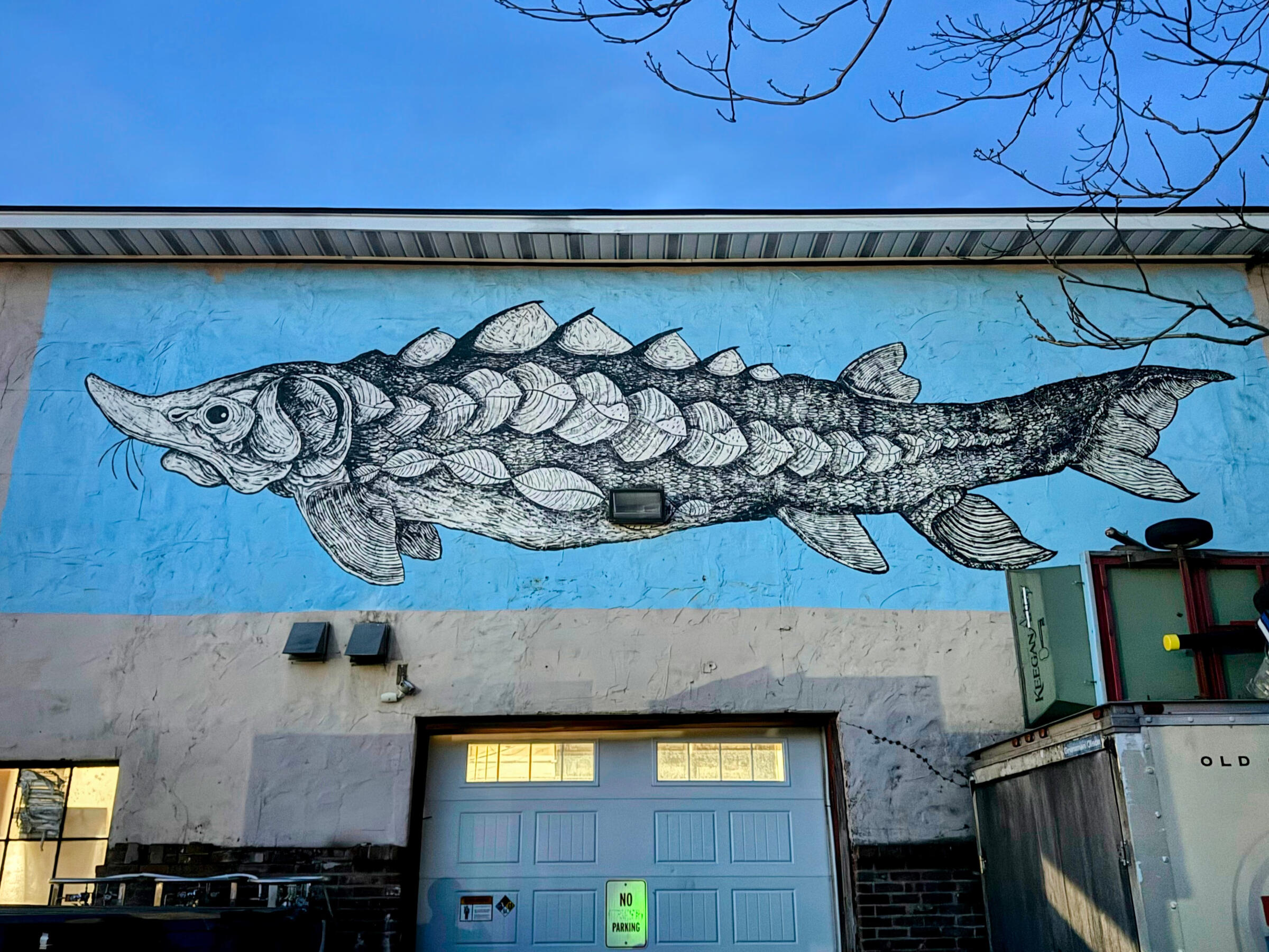 Morbi enim nunc faucibus